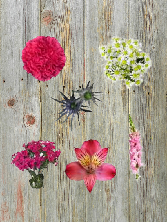 HOT PINK PALETTE ASSORTED FLOWERS COMBO